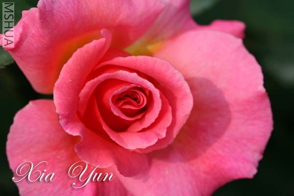 IMG_6692 ����.jpg