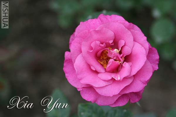 IMG_6643 ����.jpg