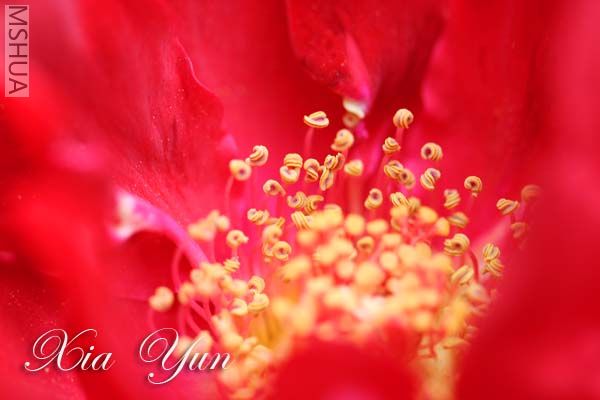 IMG_6666 ����.jpg