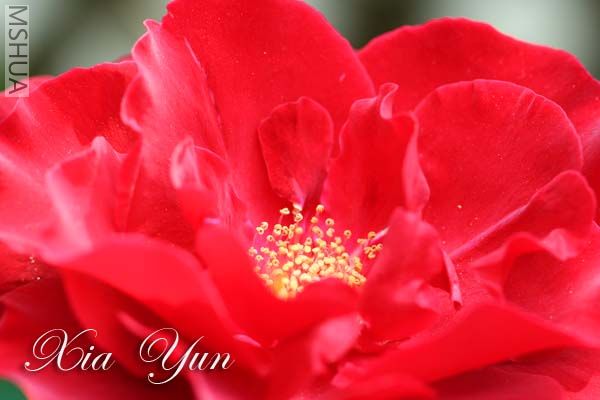 IMG_6662 ����.jpg