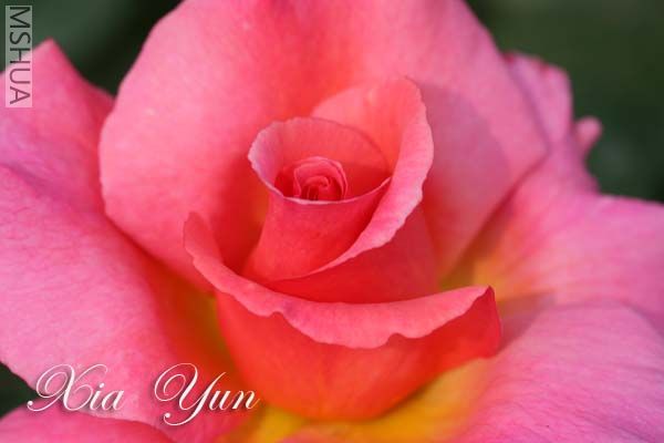 IMG_6691 ����.jpg