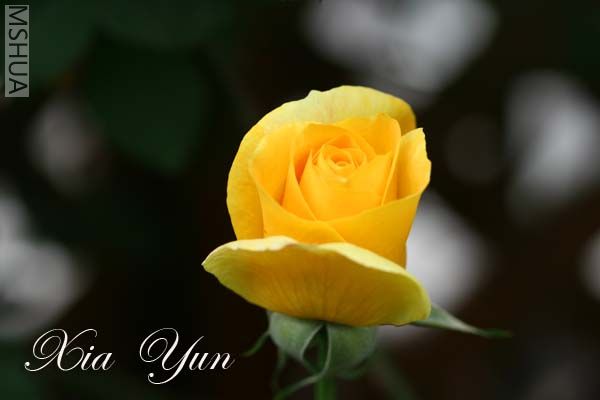 IMG_6633 ����.jpg