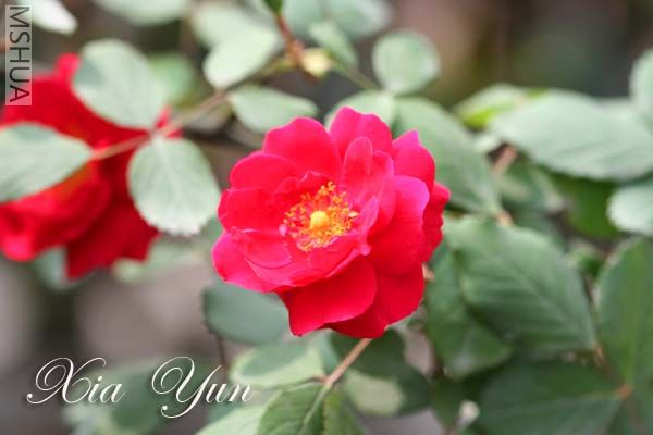 IMG_6683 ����.jpg