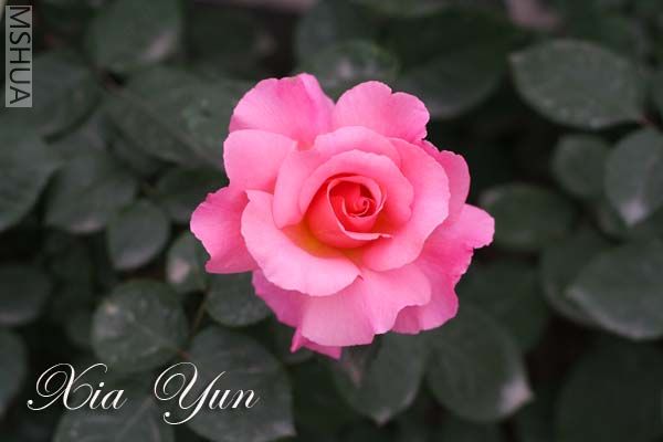 IMG_6743 ����.jpg