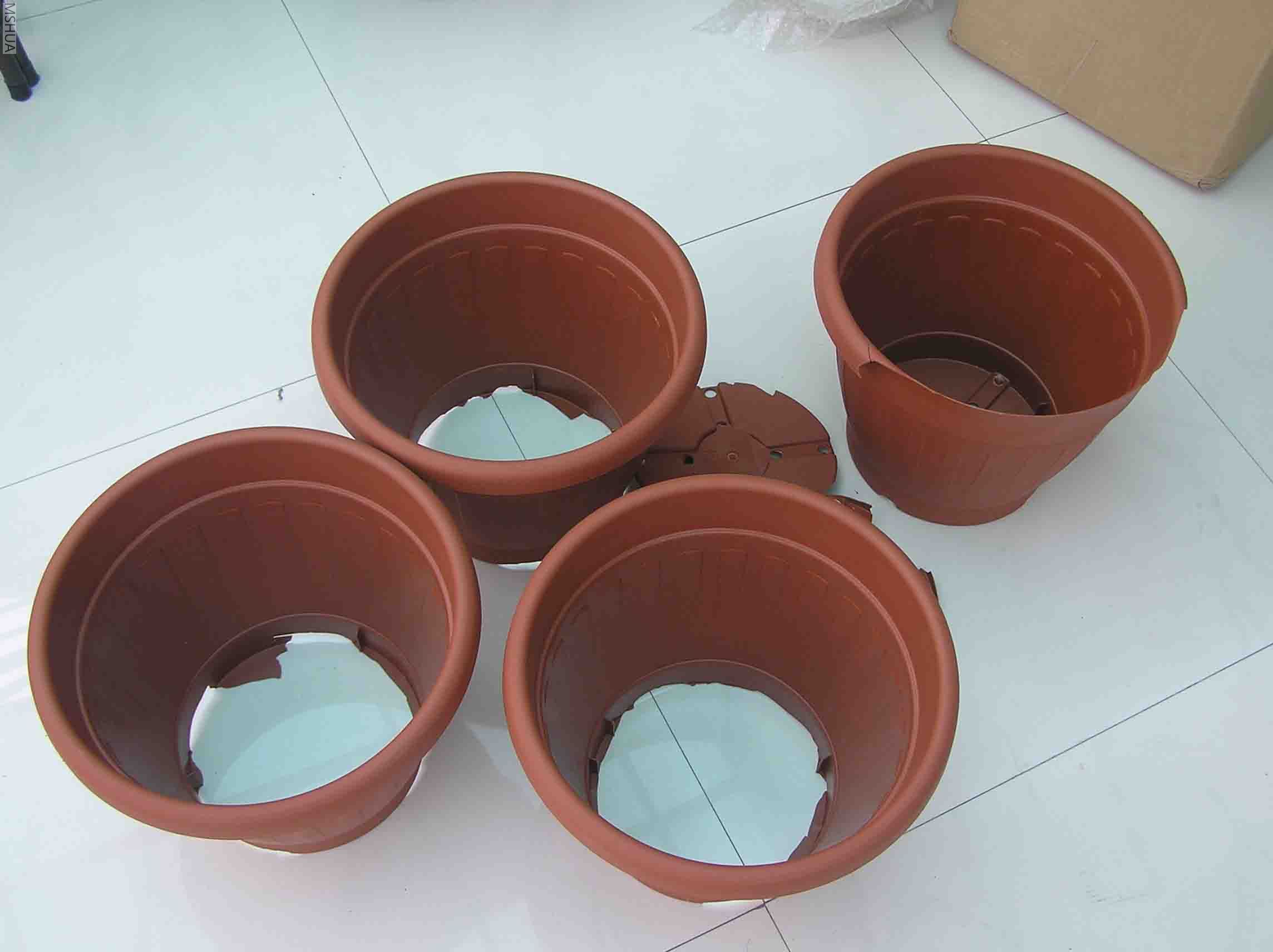 ������ȫ����