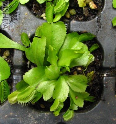 �ŵĲ�Ӭ�ݣ�10/��