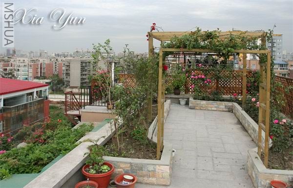 IMG_6809 ����s.jpg