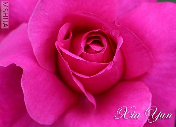 IMG_6733 ����a.jpg