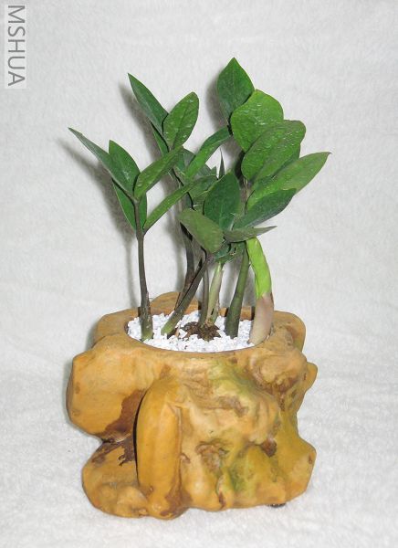 ��Ƭ70308 024_nEO_IMG.jpg