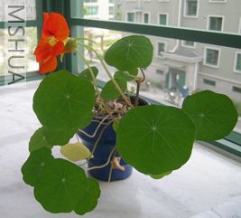 DSCN5457.JPG