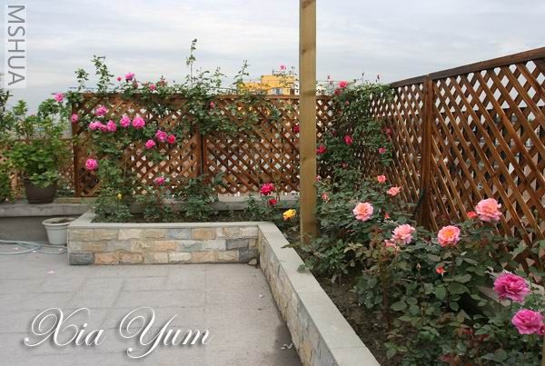 IMG_6827 ����s.jpg