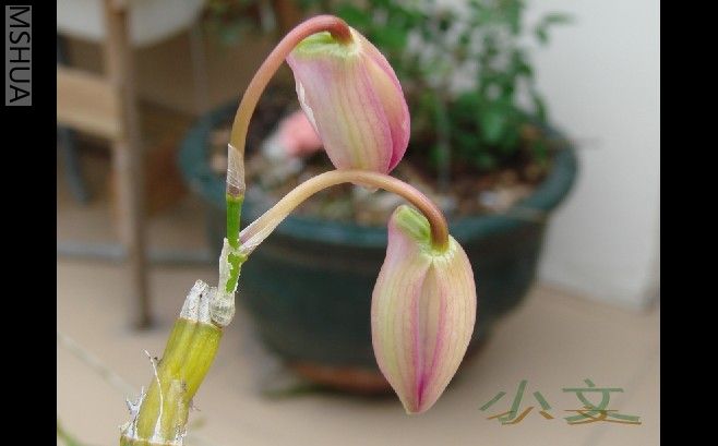 ���û��ǽ�����ʱ��Ư��...