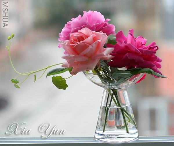 IMG_6834 ����a.jpg