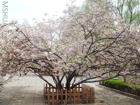 �����ȫ��