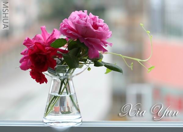 IMG_6830 ����a.jpg