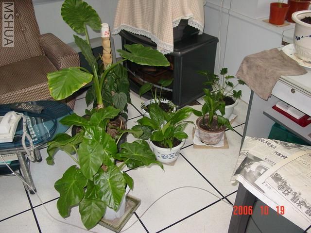 DSC05246.JPG