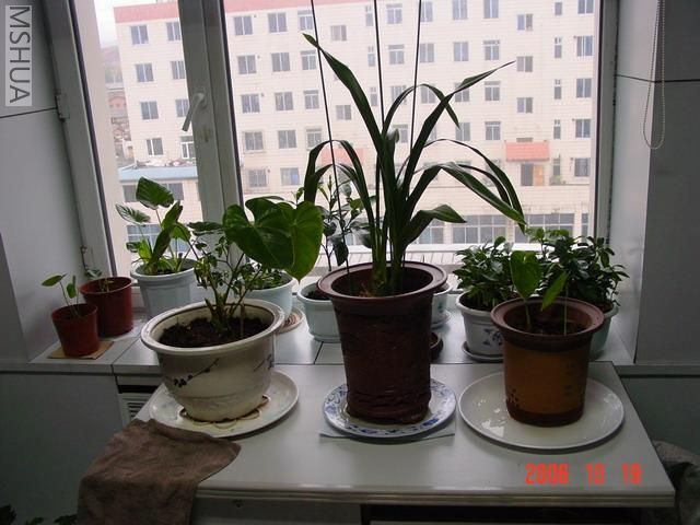 DSC05245.JPG