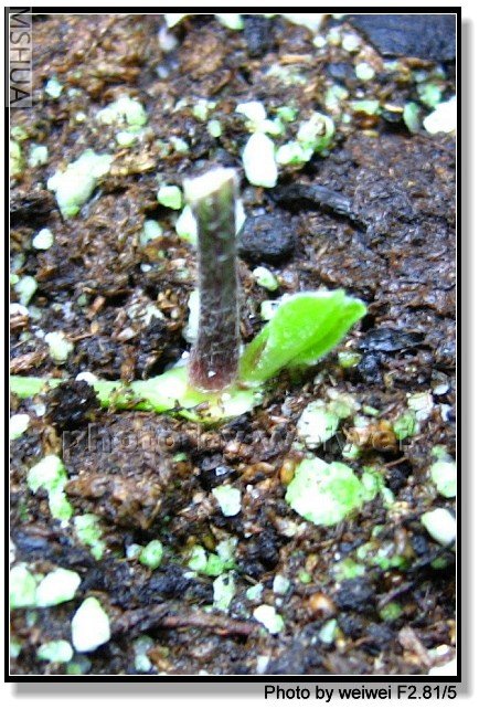 4-20-1.jpg