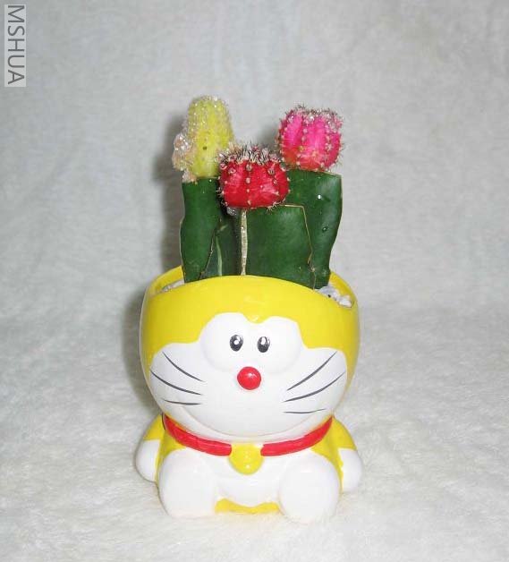 ��Ƭ070327 038_nEO_IMG.jpg