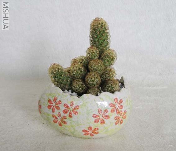 ��Ƭ070327 023_nEO_IMG.jpg