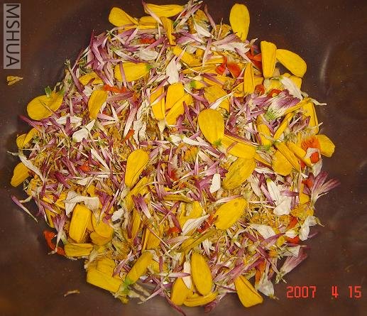 һЩл�˵ĸɻ���