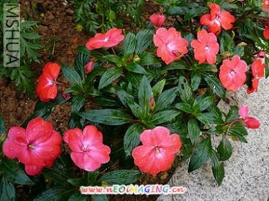 ���޷���