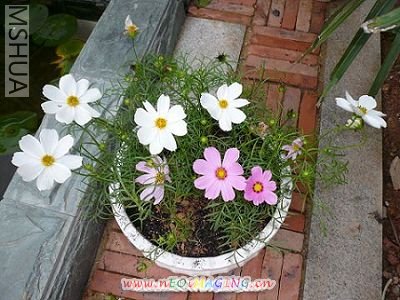 �������