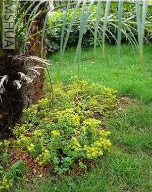 �����������һЩ����,���ӵĺܿ�