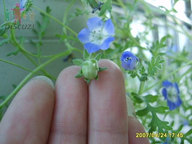 ���� S6000513.JPG