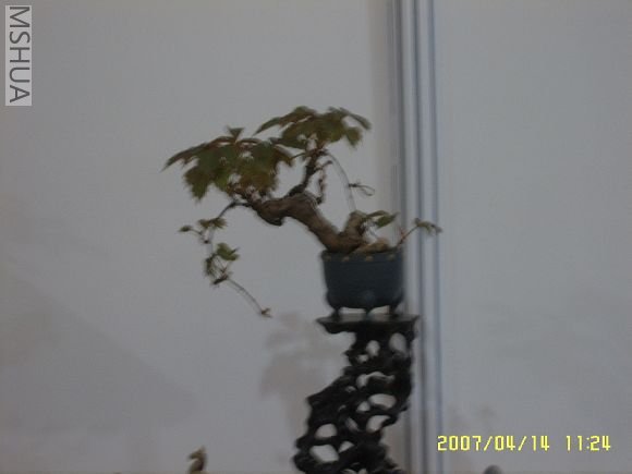 SUC56743_nEO_IMG.jpg