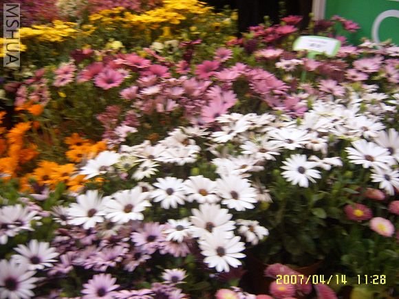 SUC56750_nEO_IMG.jpg