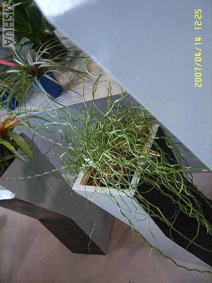 SUC56777_nEO_IMG.jpg
