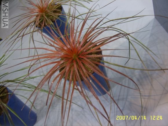 SUC56776_nEO_IMG.jpg