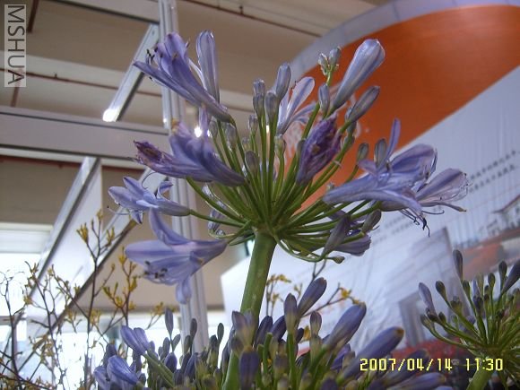 SUC56754_nEO_IMG.jpg