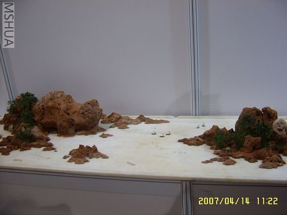 SUC56736_nEO_IMG.jpg