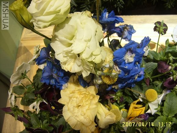 SUC56732_nEO_IMG.jpg