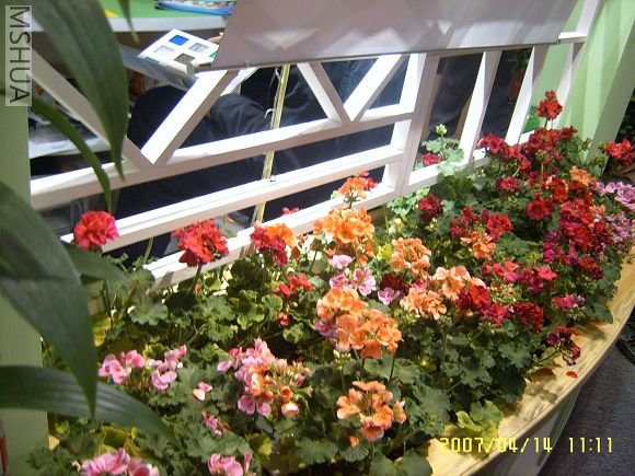 SUC56730_nEO_IMG.jpg