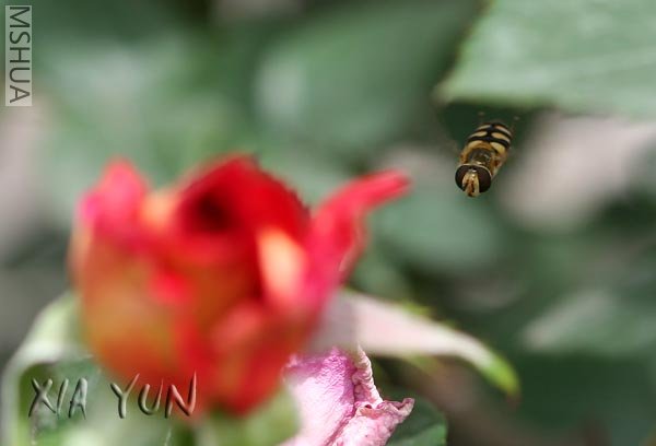 IMG_7698 ����.jpg