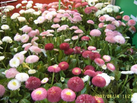 SUC56749_nEO_IMG.jpg