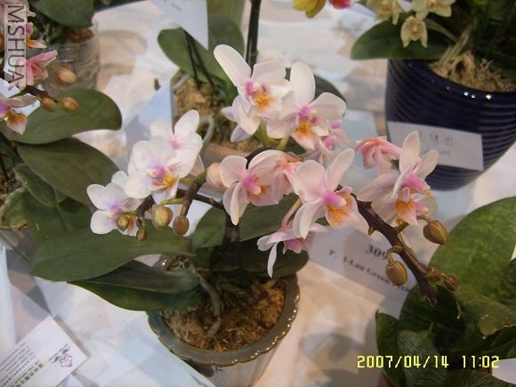 SUC56724_nEO_IMG.jpg
