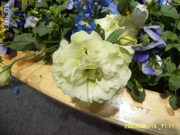 SUC56731_nEO_IMG.jpg