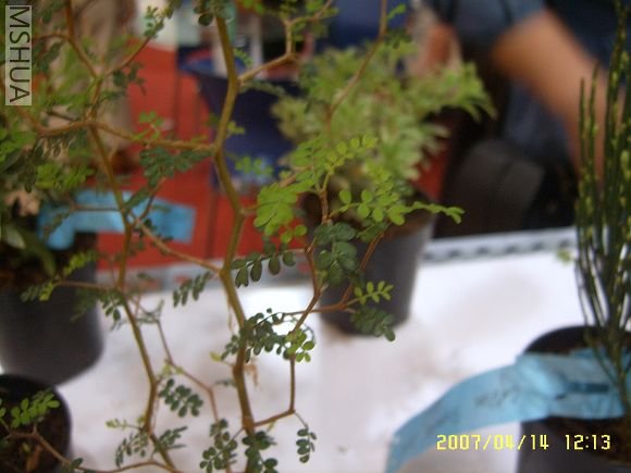 SUC56768_nEO_IMG.jpg