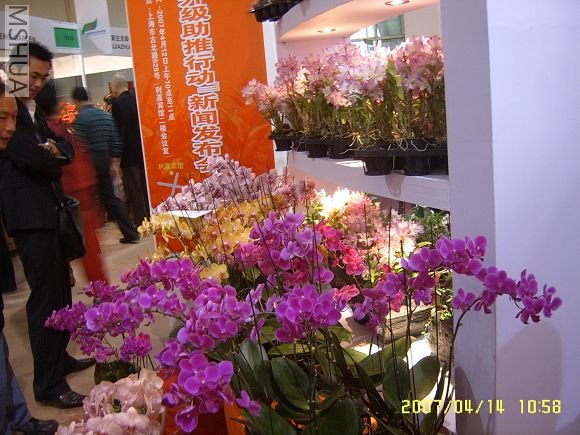 SUC56716_nEO_IMG.jpg
