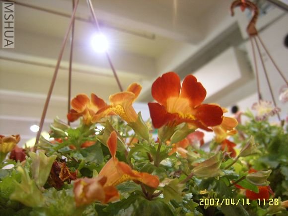 SUC56751_nEO_IMG.jpg