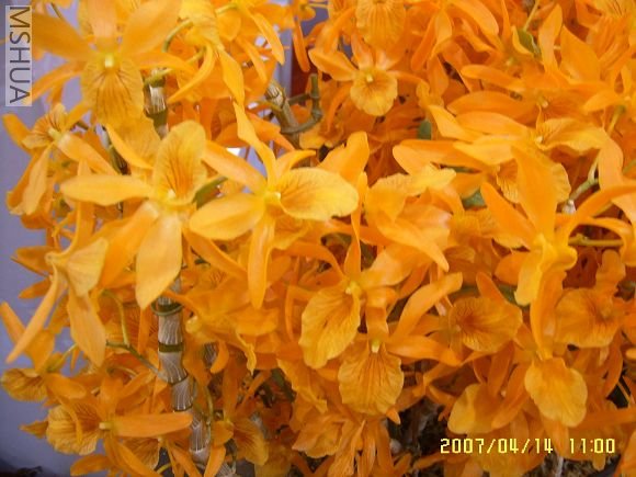 SUC56720_nEO_IMG.jpg