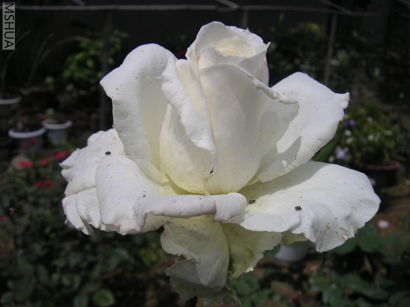 ������С �¼���.jpg