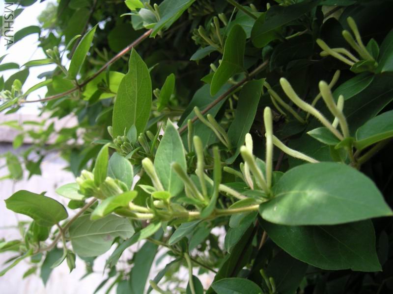 ������С ������7042503.jpg