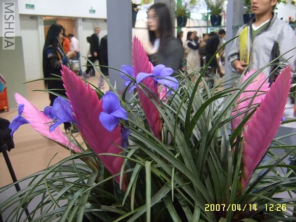 SUC56780_nEO_IMG.jpg