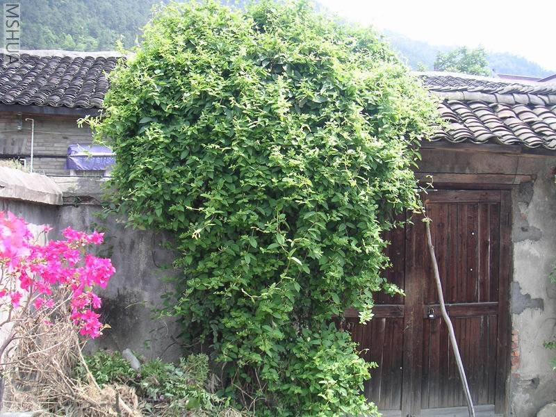 ���뿪ǰ���µĽ�����