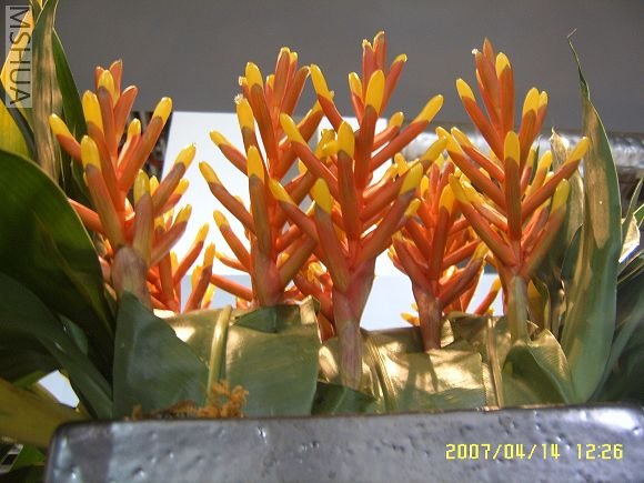 SUC56783_nEO_IMG.jpg